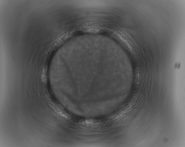 X0000094820641200712141646