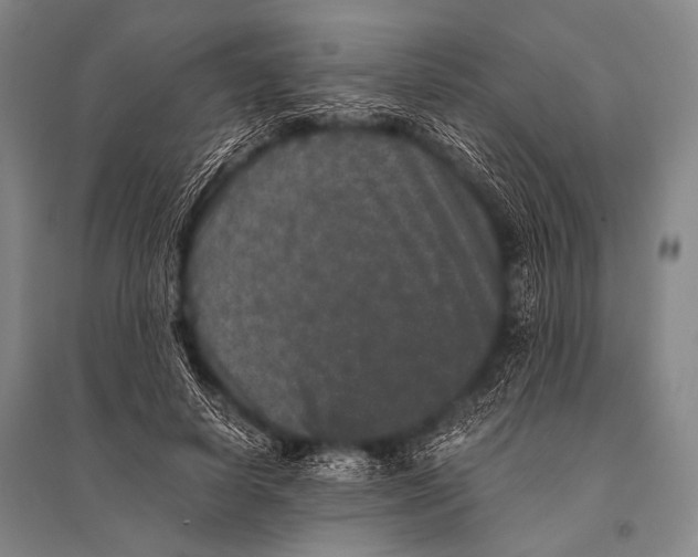 X0000094820642200712141646