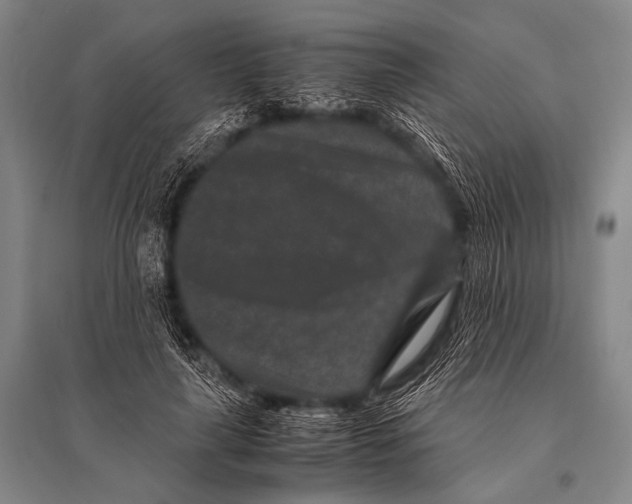 X0000094820643200712141646