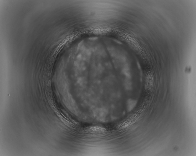 X0000094820644200712141646