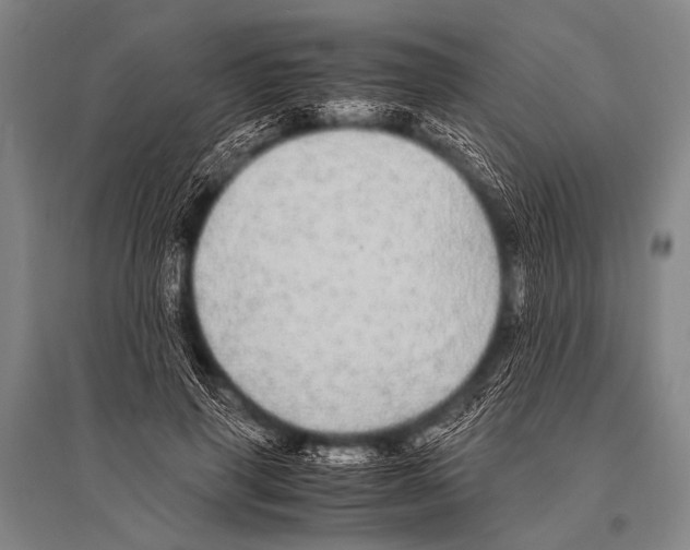 X0000094820645200712141646