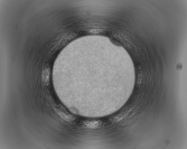 X0000094820646200712141646