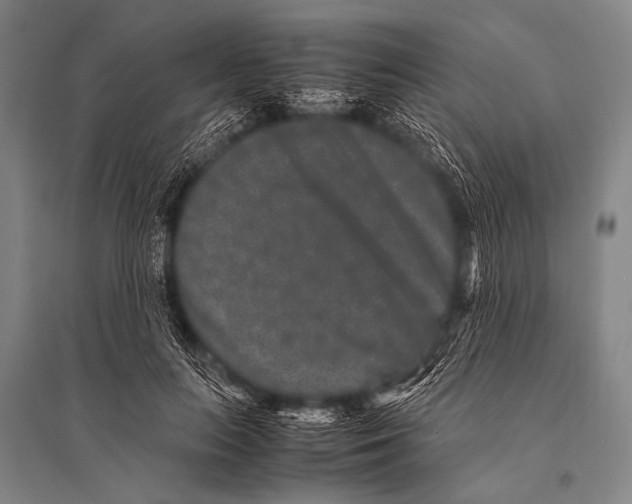 X0000094820647200712141646