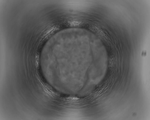 X0000094820648200712141646