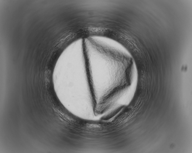 X0000094820649200712141646