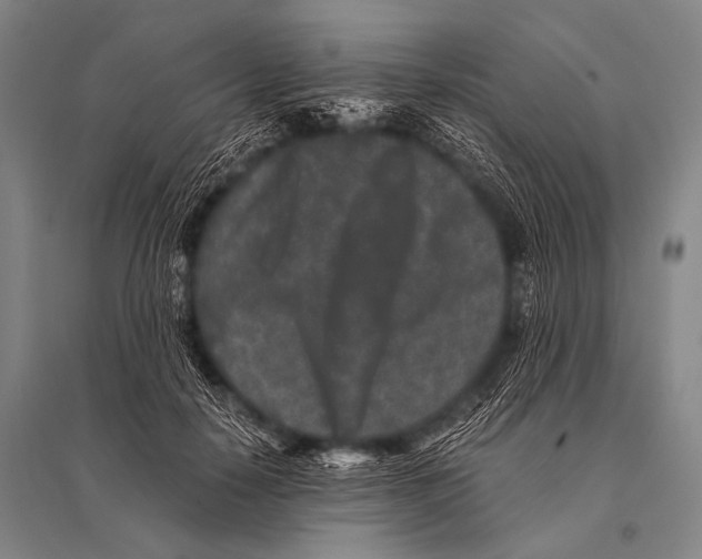 X0000094820650200712141646