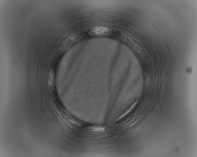 X0000094820651200712141646