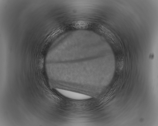 X0000094820652200712141646