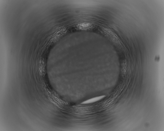 X0000094820653200712141646