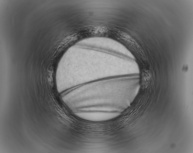 X0000094820654200712141646