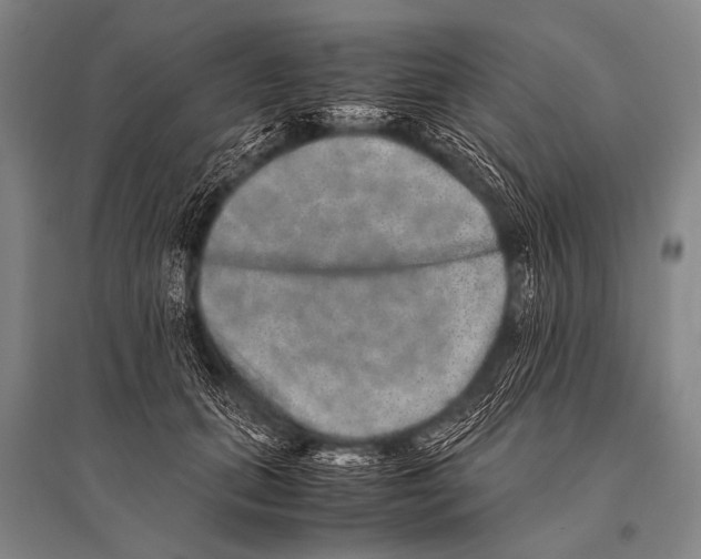 X0000094820655200712141646