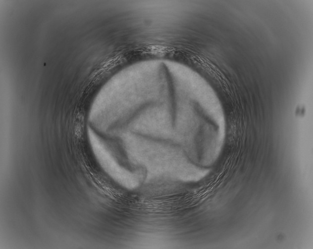 X0000094820656200712141646