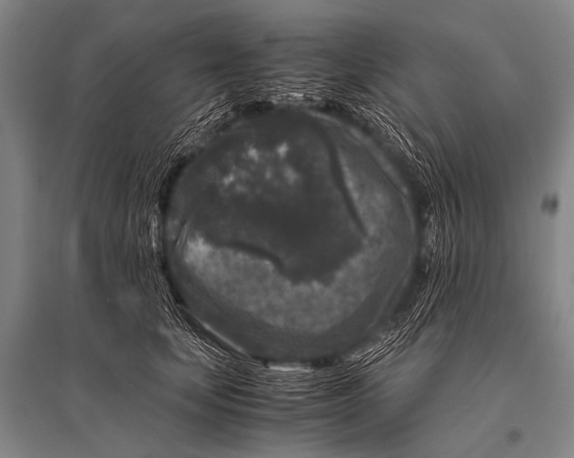 X0000094820659200712141646