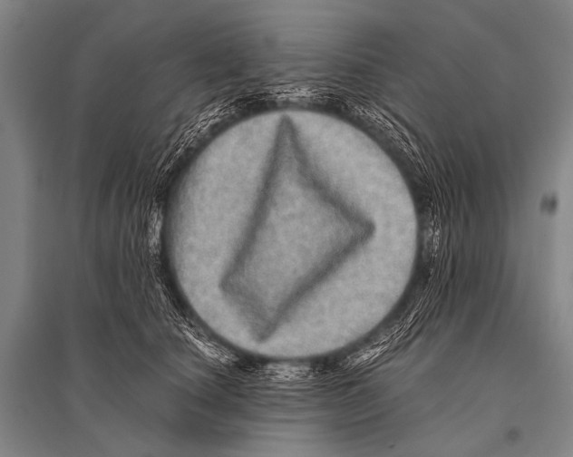 X0000094820660200712141646