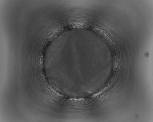 X0000094820661200712141646