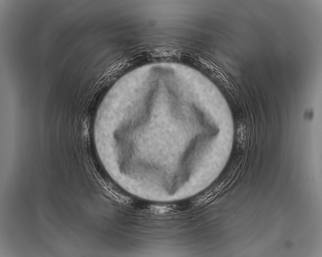 X0000094820662200712141646