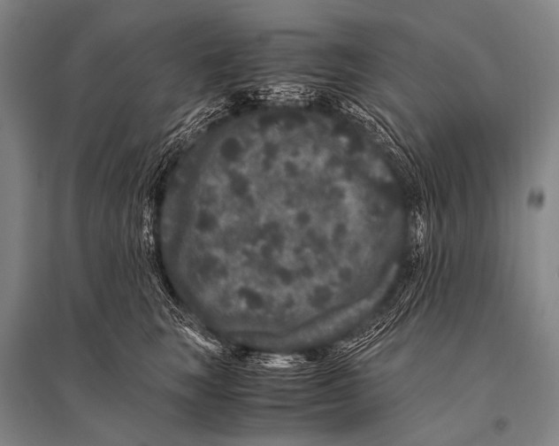 X0000094820663200712141646