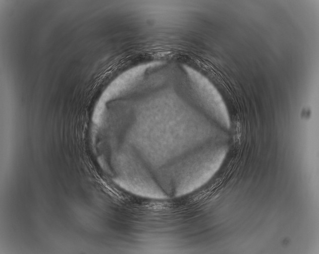 X0000094820664200712141646