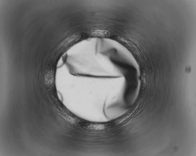 X0000094820665200712141646