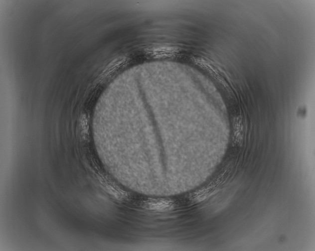 X0000094820667200712141646