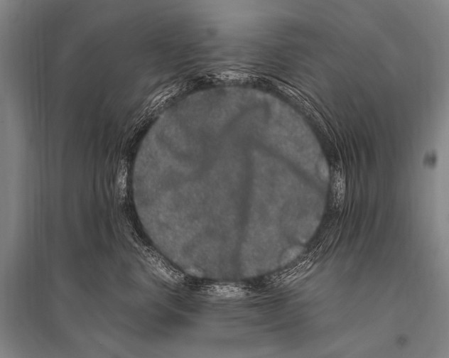 X0000094820668200712141646