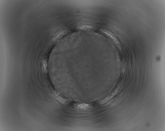 X0000094820669200712141646