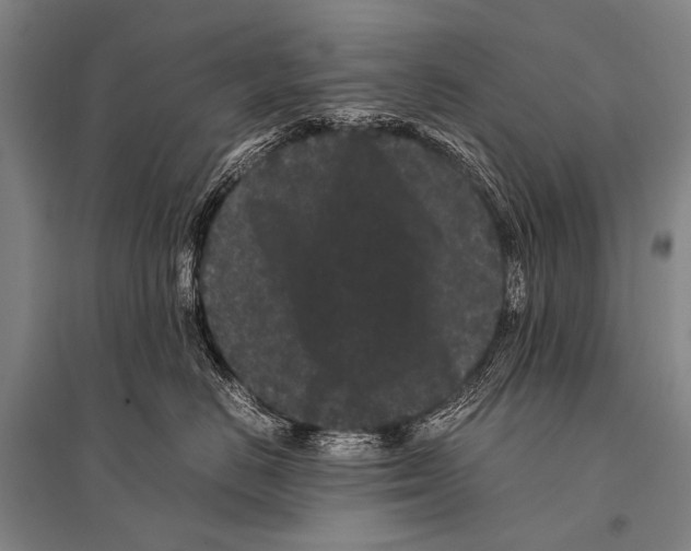 X0000094820670200712141646