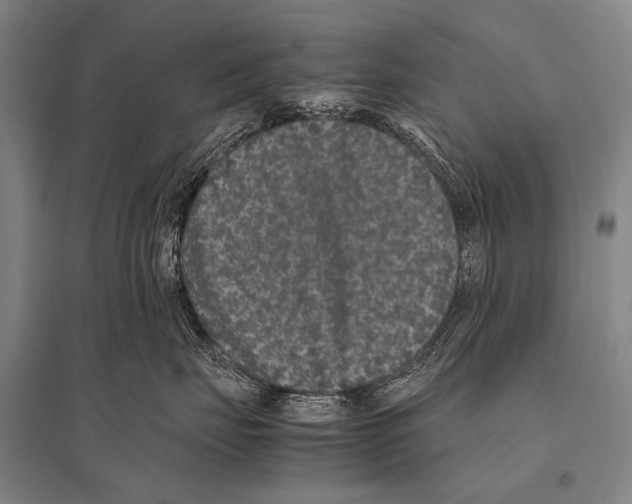 X0000094820671200712141646