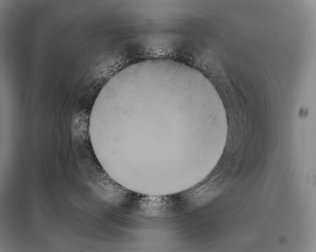 X0000094820672200712141646