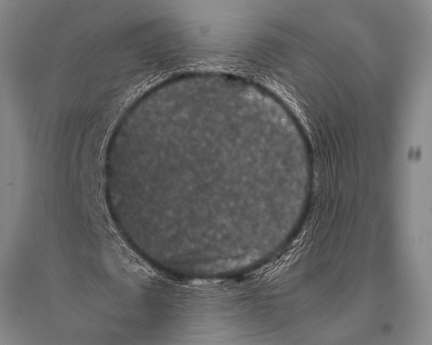 X0000094820673200712141645