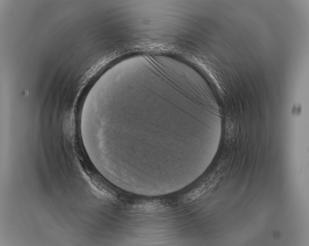 X0000094820674200712141645