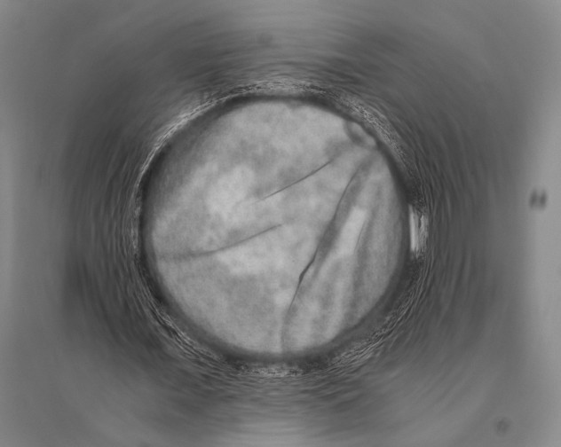 X0000094820675200712141645