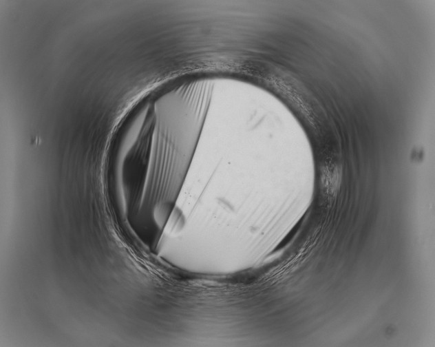 X0000094820676200712141645