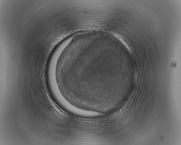 X0000094820677200712141645