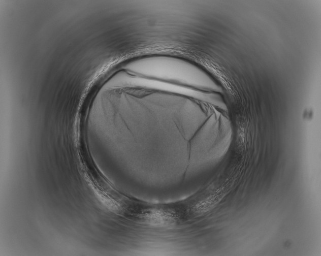 X0000094820678200712141645