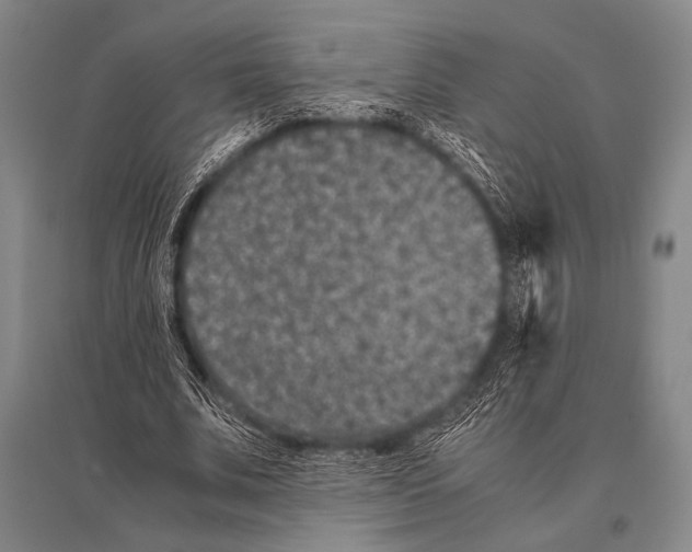 X0000094820679200712141645