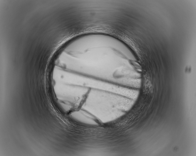 X0000094820680200712141645