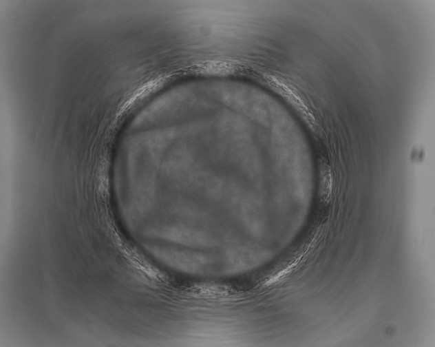 X0000094820681200712141645