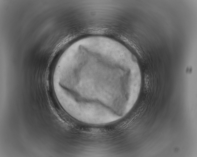 X0000094820682200712141645