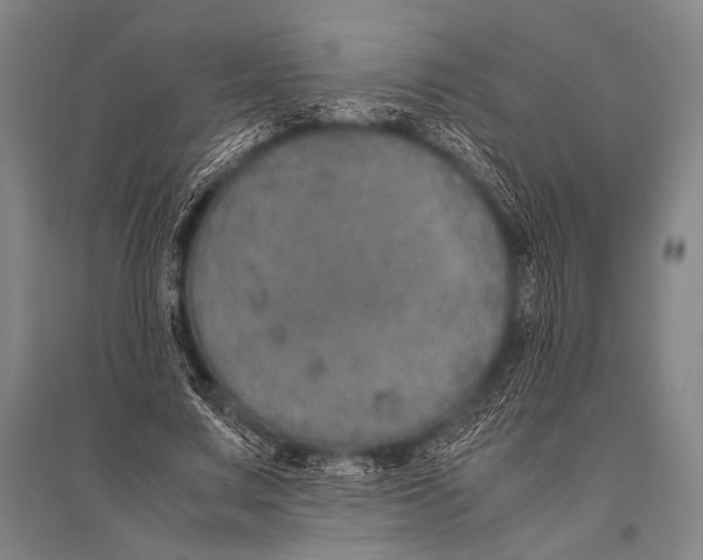 X0000094820683200712141645