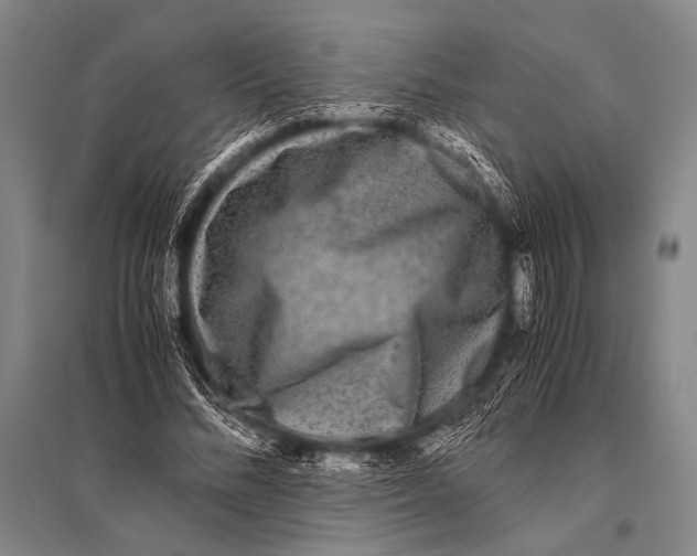 X0000094820684200712141645