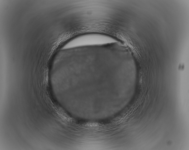 X0000094820685200712141645