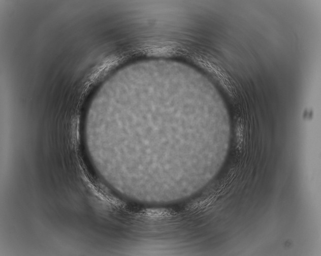 X0000094820686200712141645