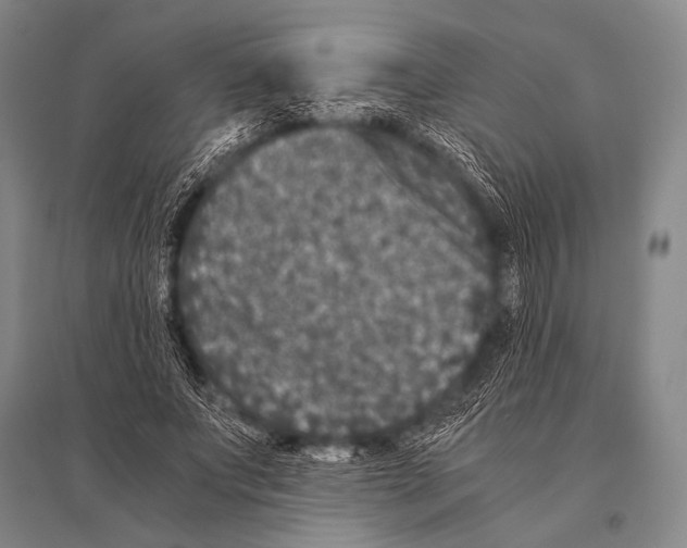 X0000094820687200712141645