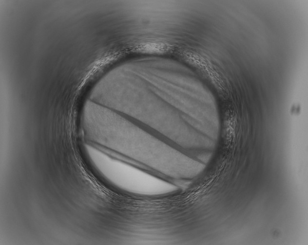 X0000094820688200712141645