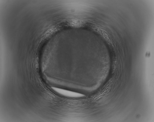 X0000094820689200712141645