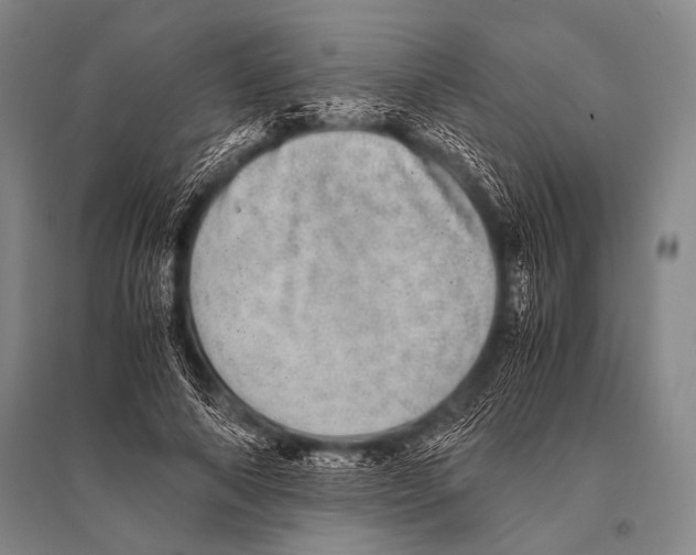 X0000094820690200712141645