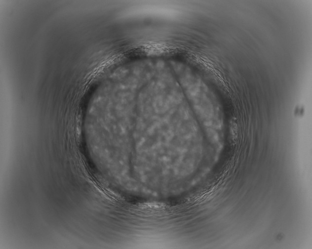 X0000094820691200712141645