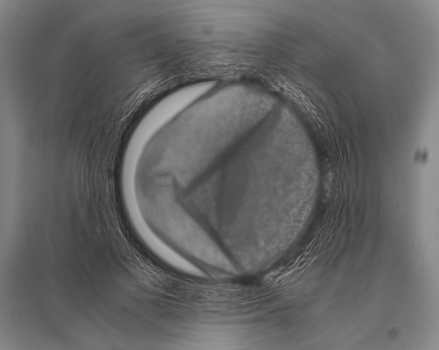 X0000094820693200712141645