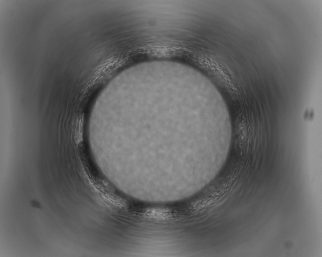 X0000094820694200712141645